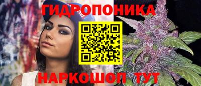 шишки Ирбит