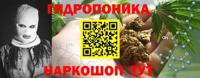 индика Ипатово