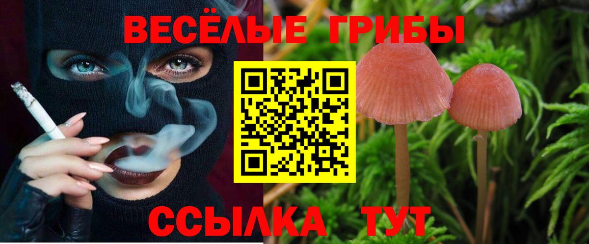 Псилоцибиновые грибы ЛСД Назарово